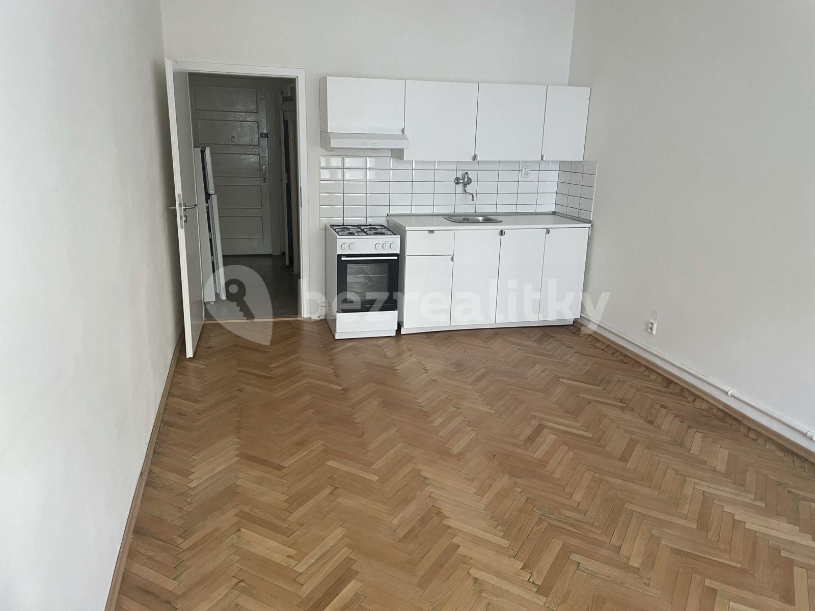 Small studio flat to rent, 30 m², 28. pluku, Prague, Prague