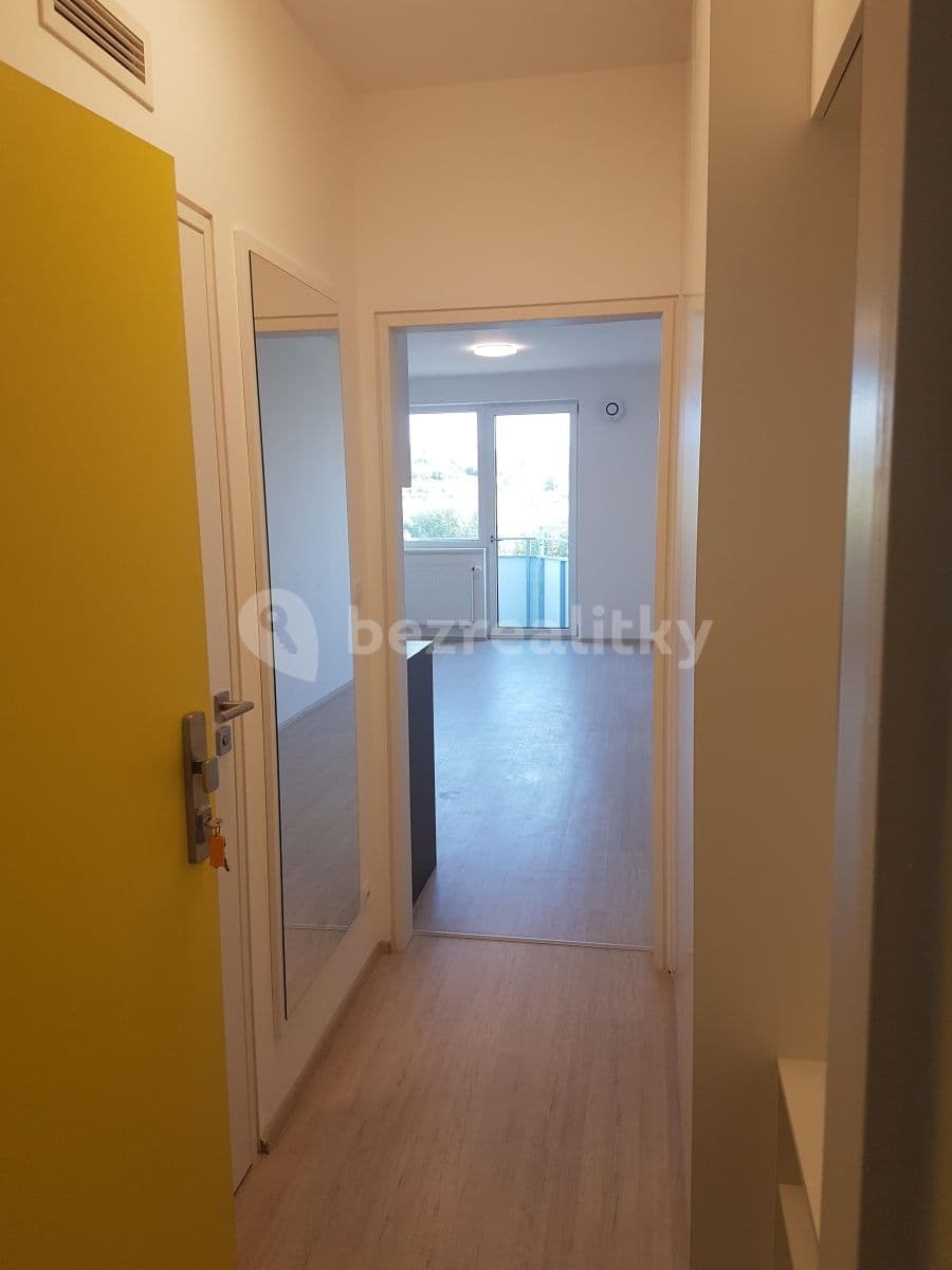 Studio flat to rent, 36 m², Reissigova, Brno, Jihomoravský Region Studio flat to rent, 36 m², Reissigova, Brno, Jihomoravský Region