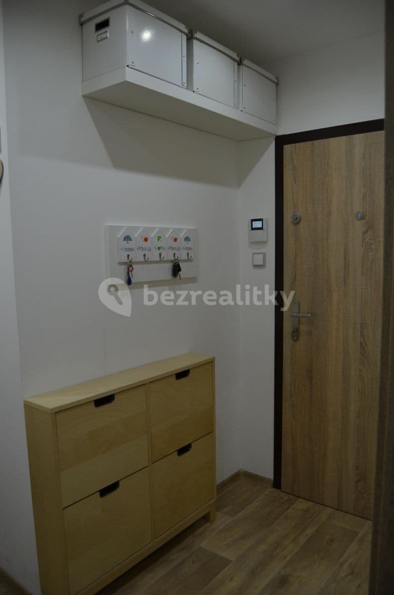 3 bedroom with open-plan kitchen flat to rent, 100 m², Barunčina, Prague, Prague 3 bedroom with open-plan kitchen flat to rent, 100 m², Barunčina, Prague, Prague