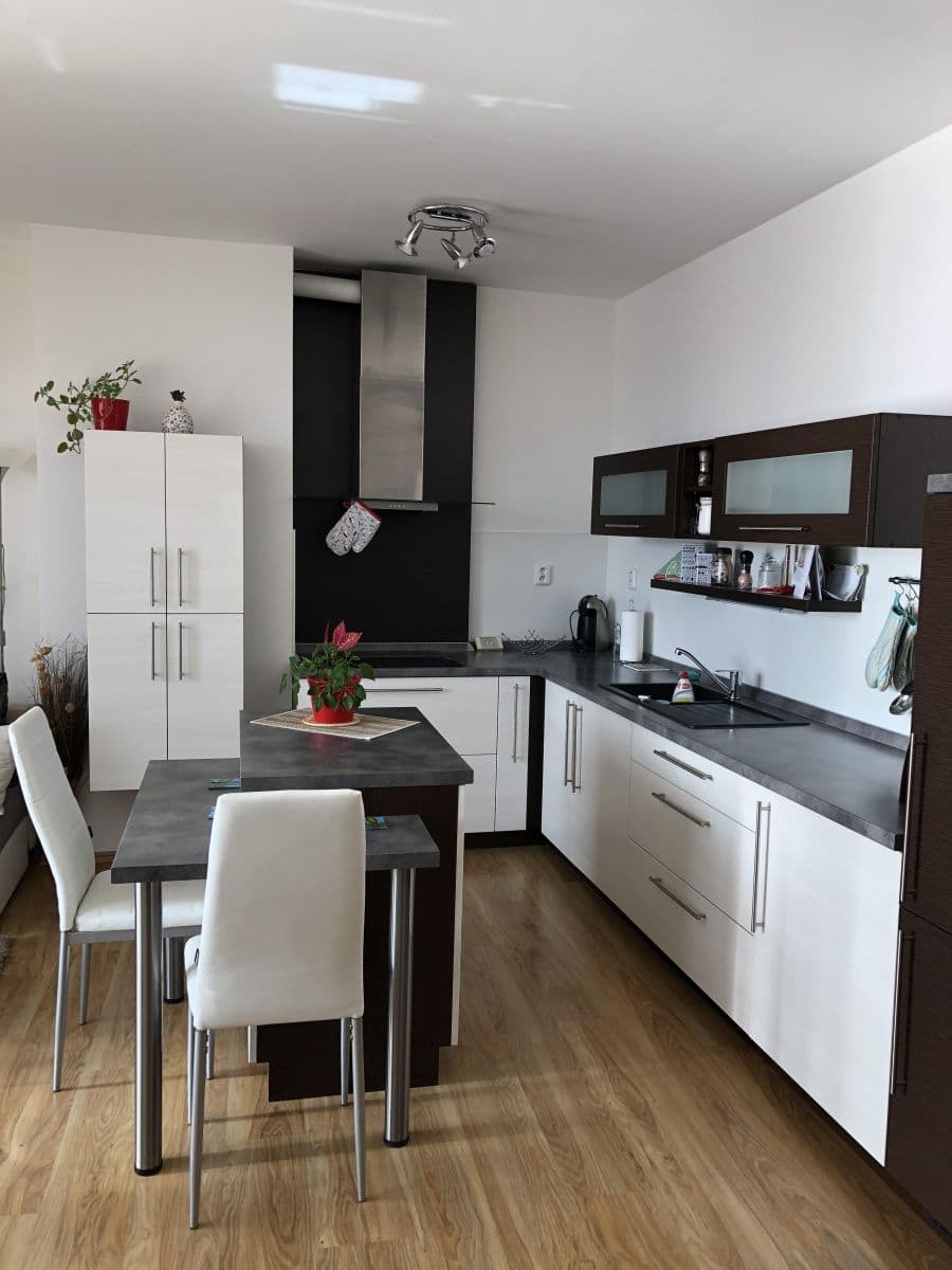 1 bedroom with open-plan kitchen flat to rent, 60 m², K Pazderně, Benešov, Středočeský Region 1 bedroom with open-plan kitchen flat to rent, 60 m², K Pazderně, Benešov, Středočeský Region