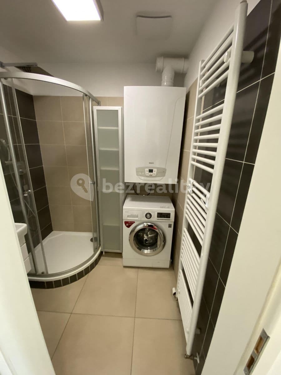 1 bedroom with open-plan kitchen flat to rent, 46 m², Višňová, Moravany, Jihomoravský Region 1 bedroom with open-plan kitchen flat to rent, 46 m², Višňová, Moravany, Jihomoravský Region