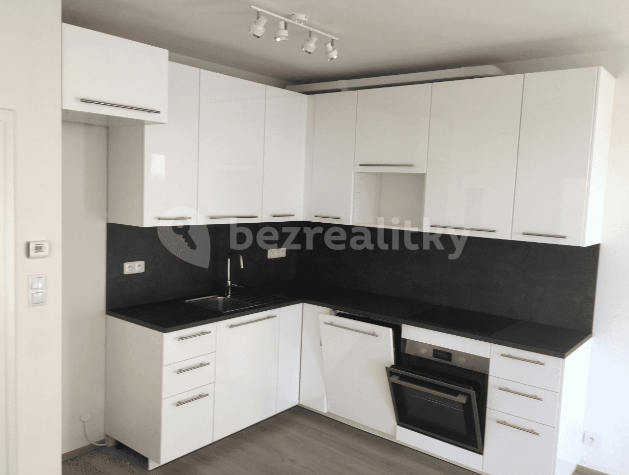 1 bedroom with open-plan kitchen flat to rent, 54 m², Sazovická, Prague, Prague 1 bedroom with open-plan kitchen flat to rent, 54 m², Sazovická, Prague, Prague