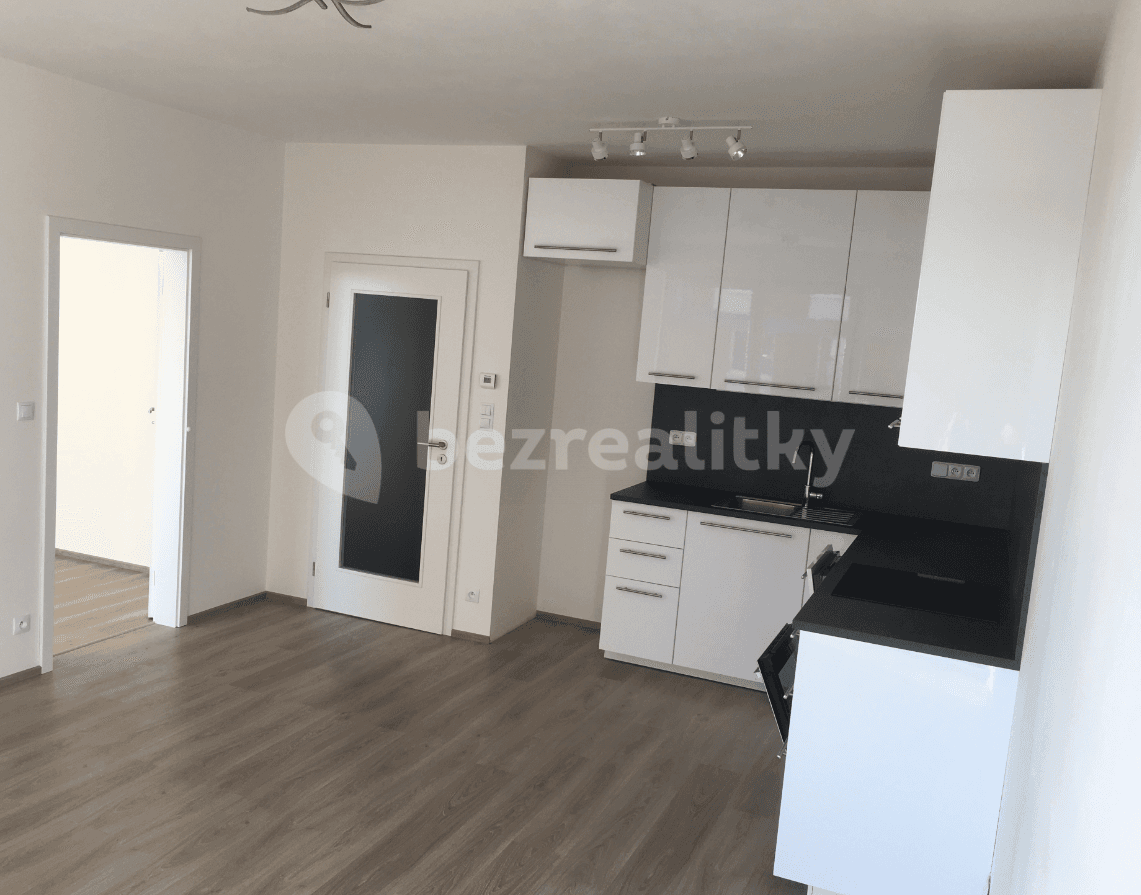 1 bedroom with open-plan kitchen flat to rent, 54 m², Sazovická, Prague, Prague 1 bedroom with open-plan kitchen flat to rent, 54 m², Sazovická, Prague, Prague