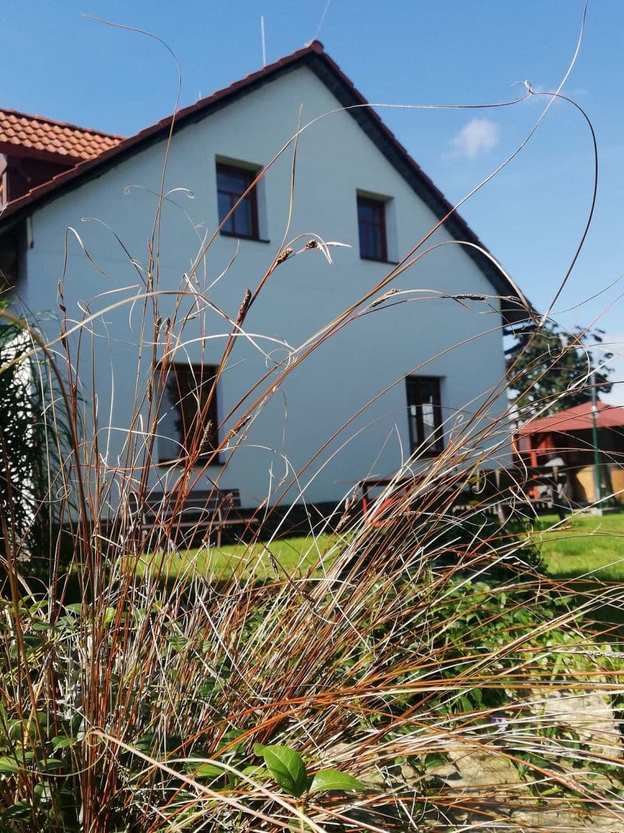 recreational property to rent, 0 m², Králíky, Pardubický Region recreational property to rent, 0 m², Králíky, Pardubický Region