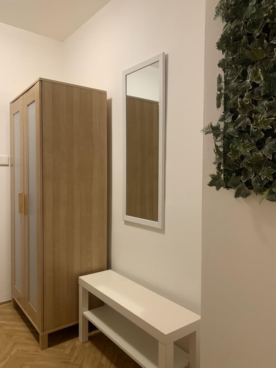 1 bedroom with open-plan kitchen flat to rent, 47 m², Muchova, Prague, Prague 1 bedroom with open-plan kitchen flat to rent, 47 m², Muchova, Prague, Prague