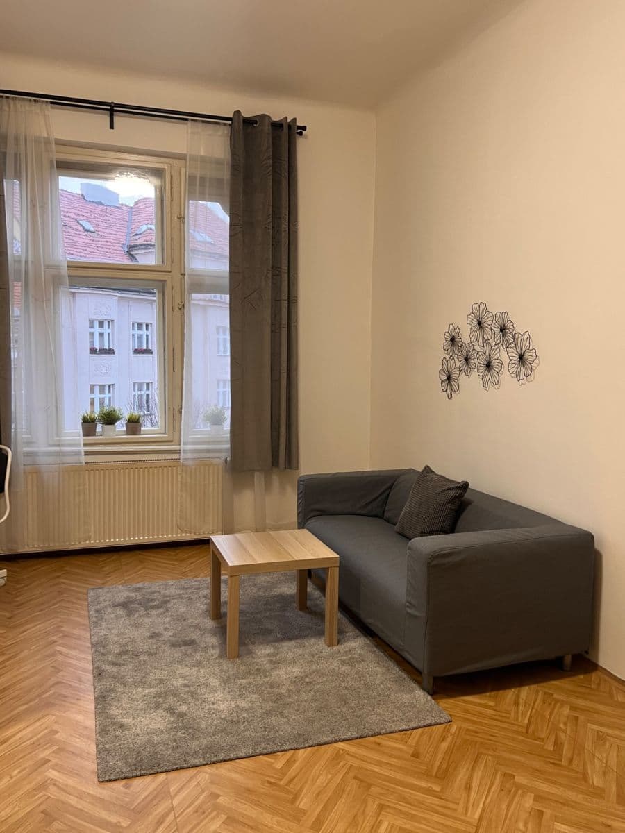 1 bedroom with open-plan kitchen flat to rent, 47 m², Muchova, Prague, Prague 1 bedroom with open-plan kitchen flat to rent, 47 m², Muchova, Prague, Prague