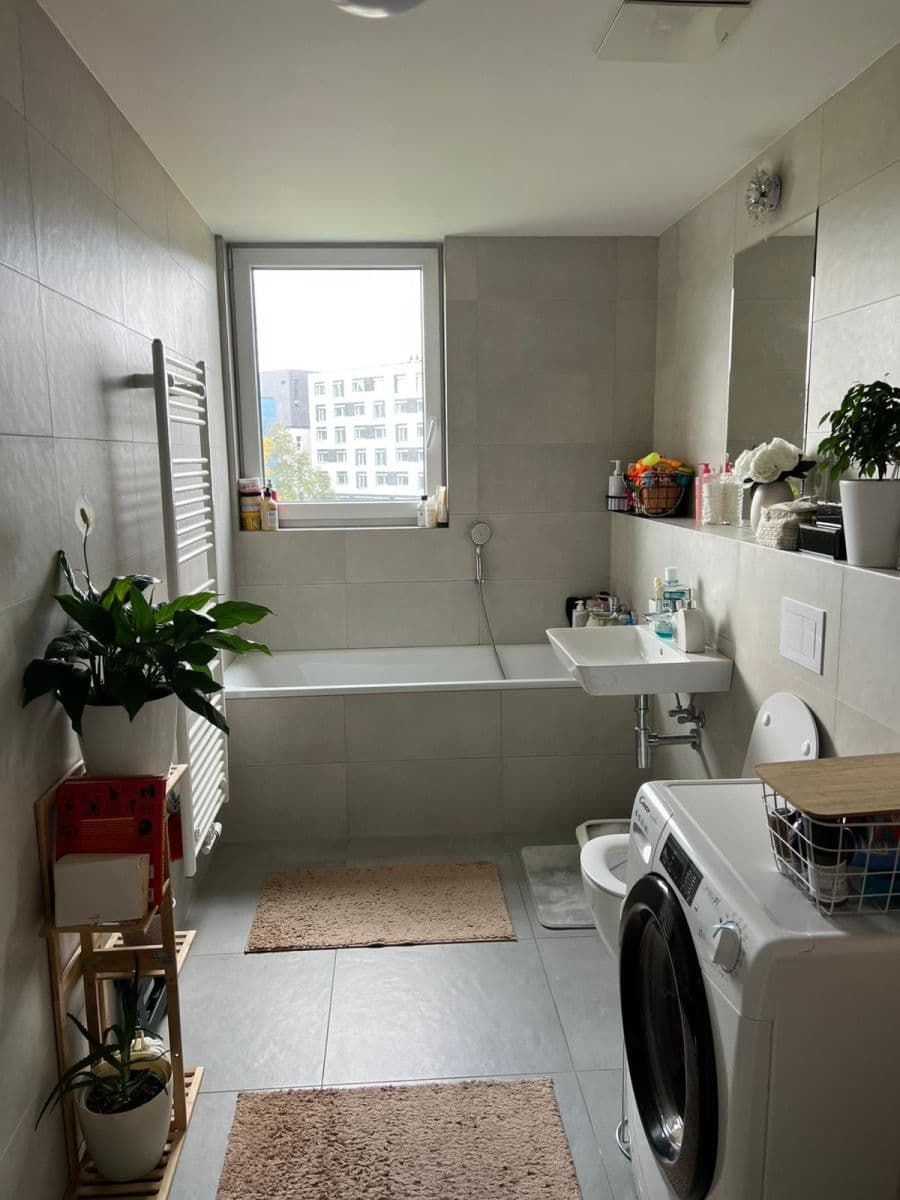 1 bedroom with open-plan kitchen flat to rent, 60 m², Piskáčkových, Prague, Prague 1 bedroom with open-plan kitchen flat to rent, 60 m², Piskáčkových, Prague, Prague