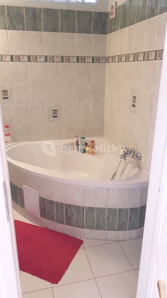 2 bedroom with open-plan kitchen flat to rent, 66 m², Trachtova, Prague, Prague 2 bedroom with open-plan kitchen flat to rent, 66 m², Trachtova, Prague, Prague