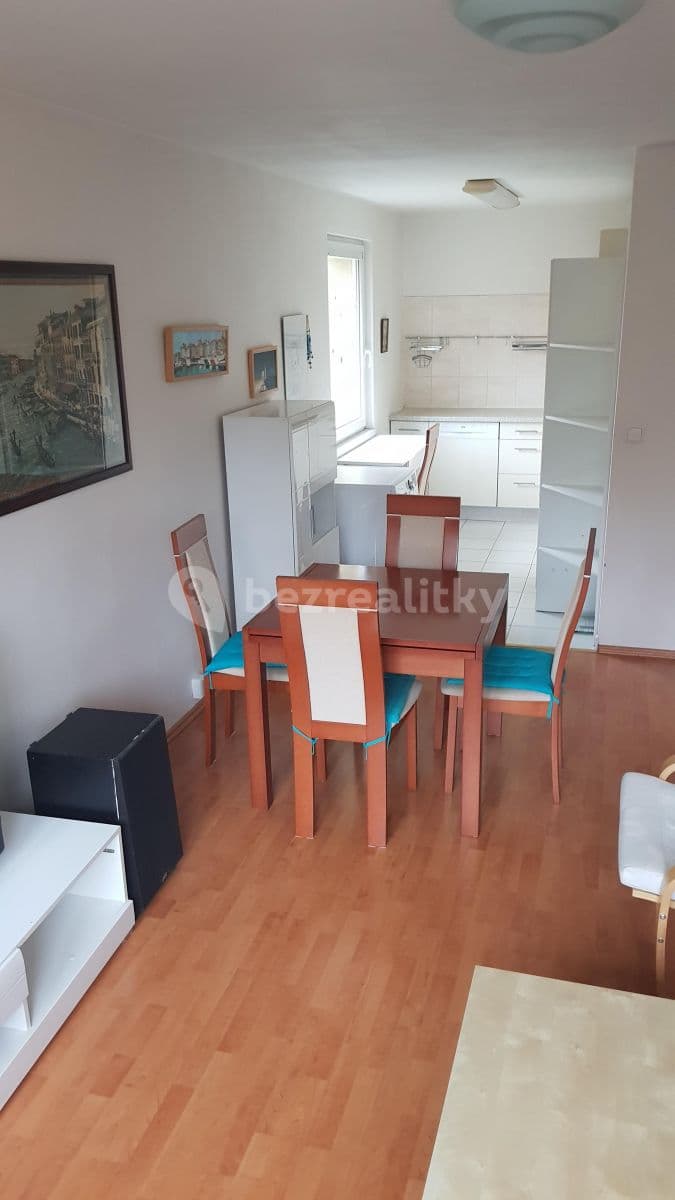 2 bedroom with open-plan kitchen flat to rent, 66 m², Trachtova, Prague, Prague 2 bedroom with open-plan kitchen flat to rent, 66 m², Trachtova, Prague, Prague