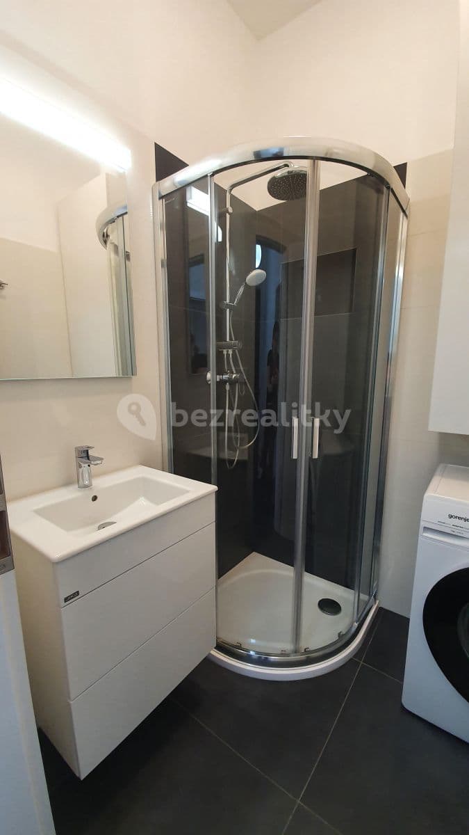 1 bedroom with open-plan kitchen flat to rent, 56 m², Budečská, Prague, Prague 1 bedroom with open-plan kitchen flat to rent, 56 m², Budečská, Prague, Prague