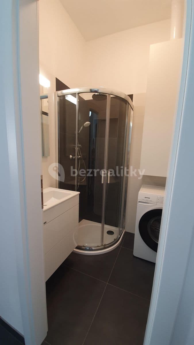 1 bedroom with open-plan kitchen flat to rent, 56 m², Budečská, Prague, Prague 1 bedroom with open-plan kitchen flat to rent, 56 m², Budečská, Prague, Prague