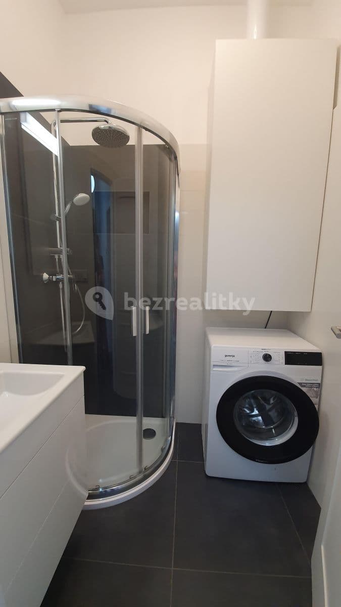1 bedroom with open-plan kitchen flat to rent, 56 m², Budečská, Prague, Prague 1 bedroom with open-plan kitchen flat to rent, 56 m², Budečská, Prague, Prague