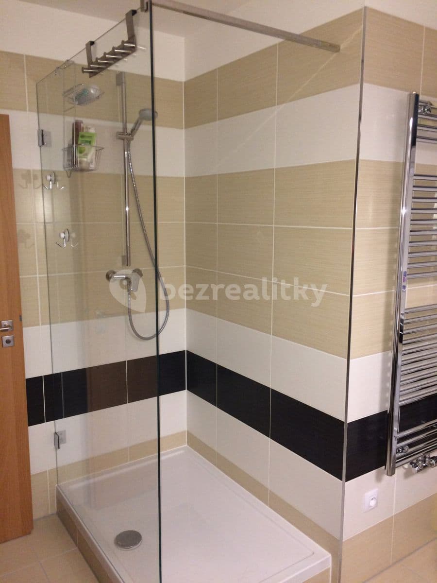 1 bedroom with open-plan kitchen flat to rent, 73 m², U Roháčových kasáren, Prague, Prague 1 bedroom with open-plan kitchen flat to rent, 73 m², U Roháčových kasáren, Prague, Prague