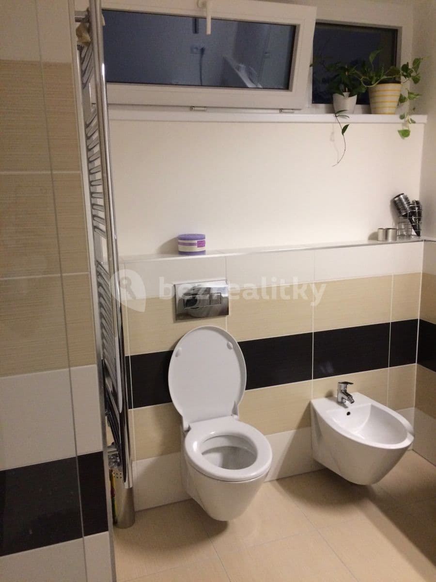 1 bedroom with open-plan kitchen flat to rent, 73 m², U Roháčových kasáren, Prague, Prague 1 bedroom with open-plan kitchen flat to rent, 73 m², U Roháčových kasáren, Prague, Prague