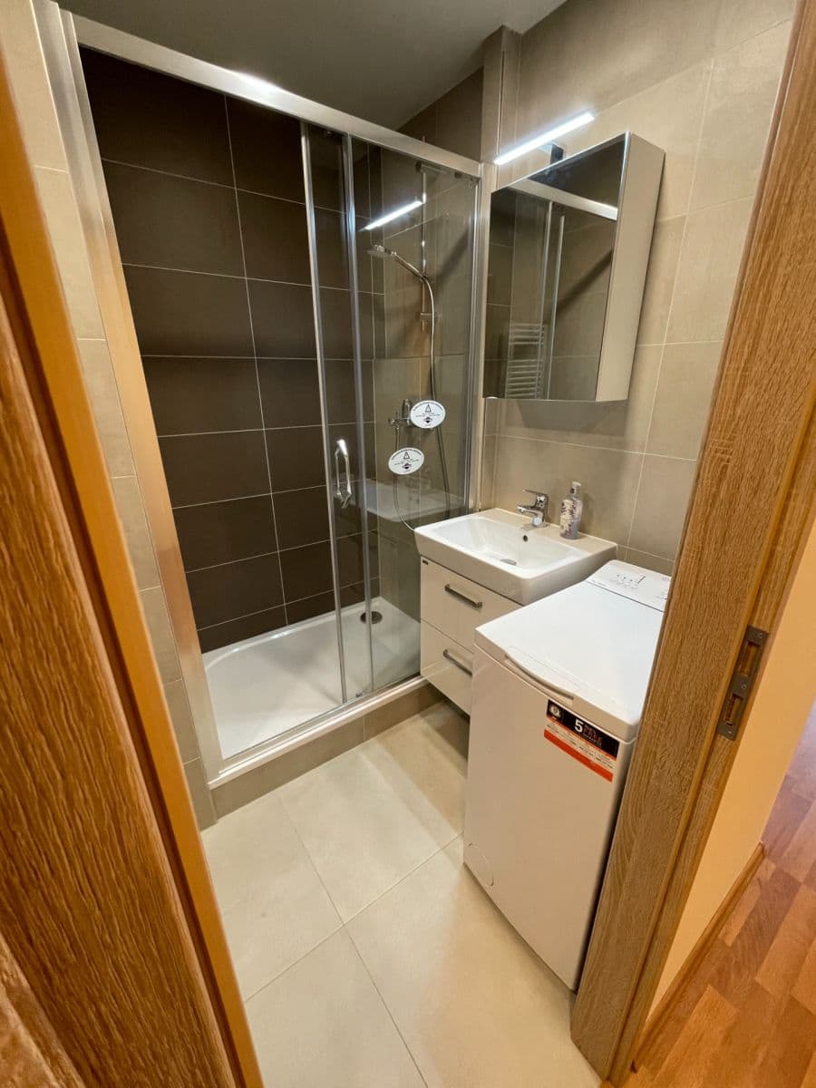 1 bedroom with open-plan kitchen flat to rent, 45 m², Trávníčkova, Prague, Prague 1 bedroom with open-plan kitchen flat to rent, 45 m², Trávníčkova, Prague, Prague