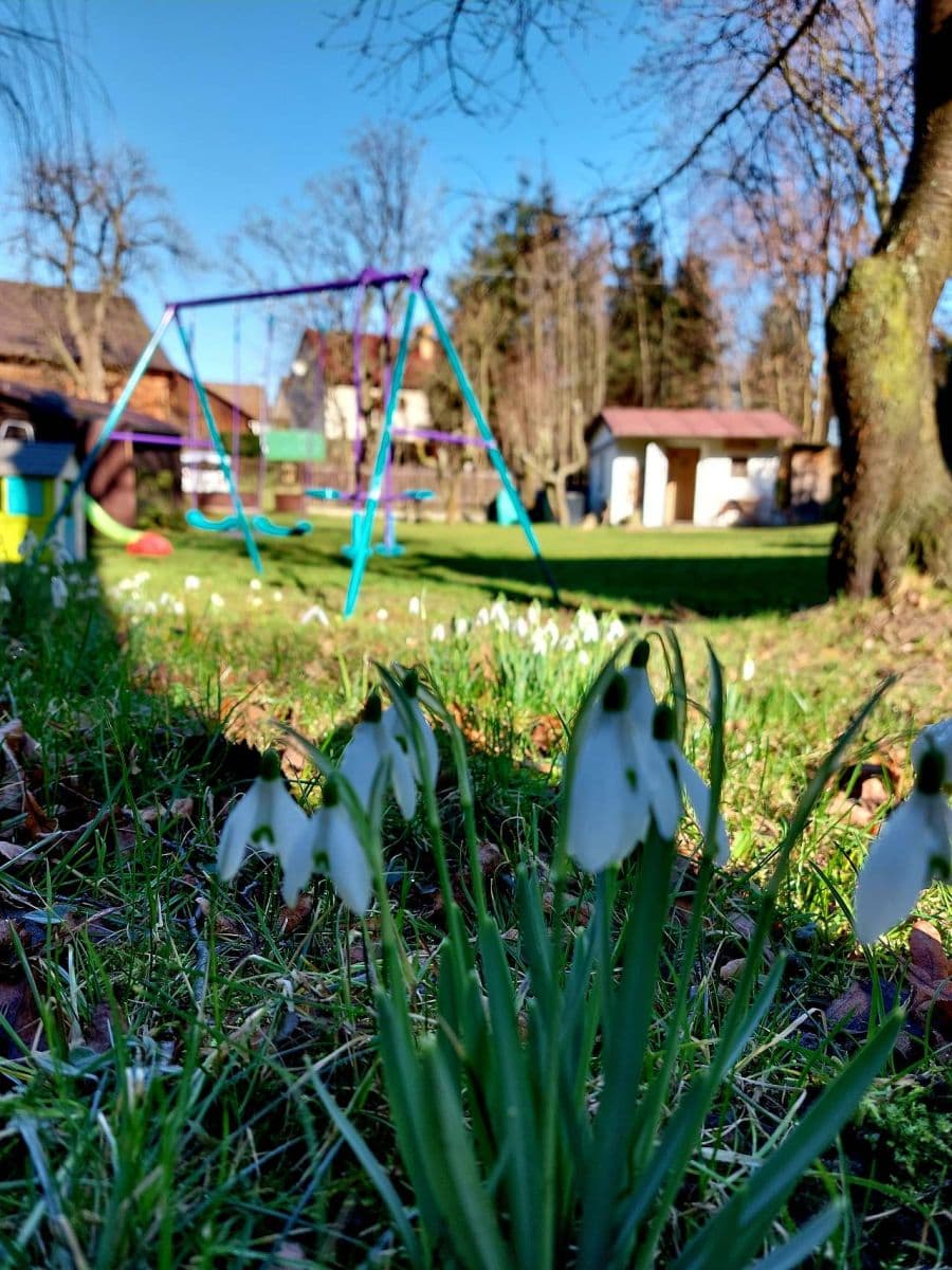 recreational property to rent, 0 m², Zbýšov, Středočeský Region recreational property to rent, 0 m², Zbýšov, Středočeský Region