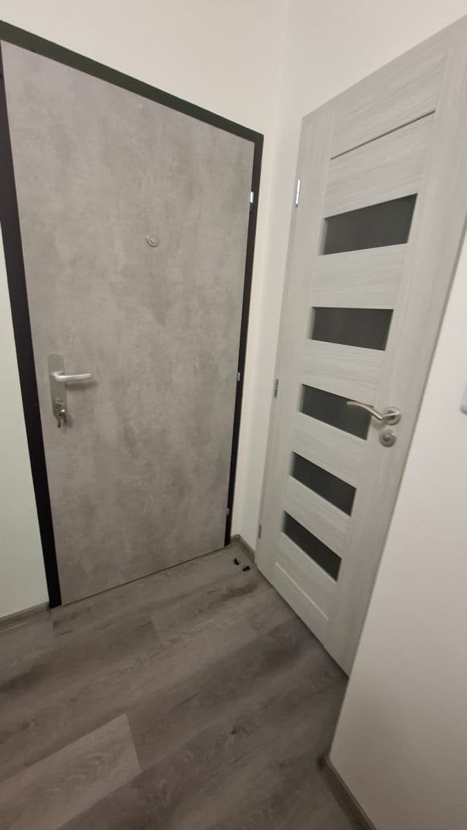 1 bedroom with open-plan kitchen flat to rent, 40 m², Brandtova, Ústí nad Labem, Ústecký Region 1 bedroom with open-plan kitchen flat to rent, 40 m², Brandtova, Ústí nad Labem, Ústecký Region