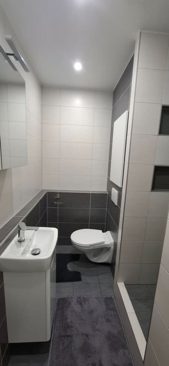 1 bedroom with open-plan kitchen flat to rent, 40 m², Brandtova, Ústí nad Labem, Ústecký Region 1 bedroom with open-plan kitchen flat to rent, 40 m², Brandtova, Ústí nad Labem, Ústecký Region