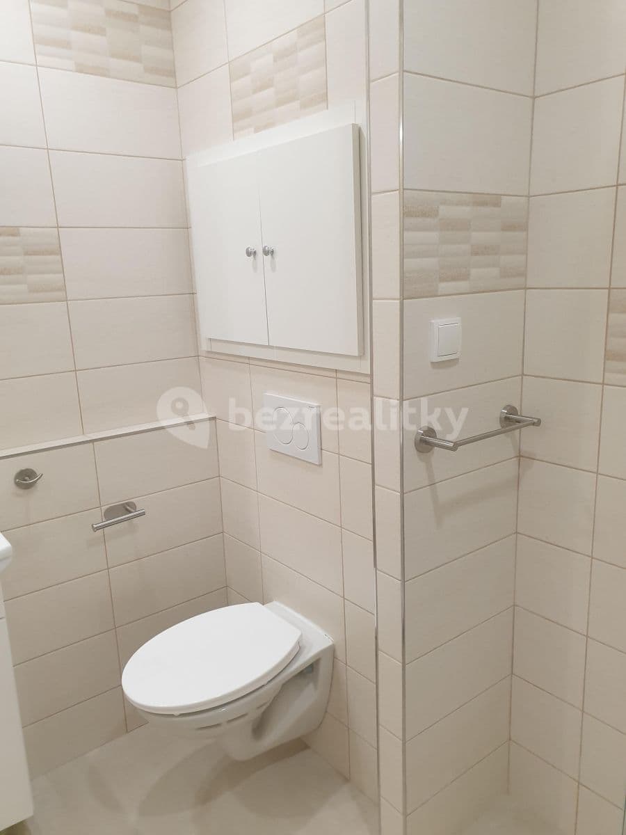 Studio flat to rent, 30 m², Brodského, Prague, Prague Studio flat to rent, 30 m², Brodského, Prague, Prague