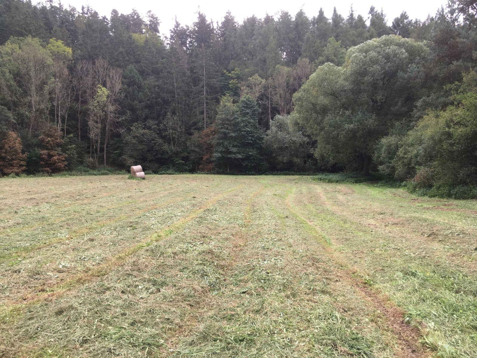 plot for sale, 6,060 m², Hlavní, Družec, Středočeský Region plot for sale, 6,060 m², Hlavní, Družec, Středočeský Region