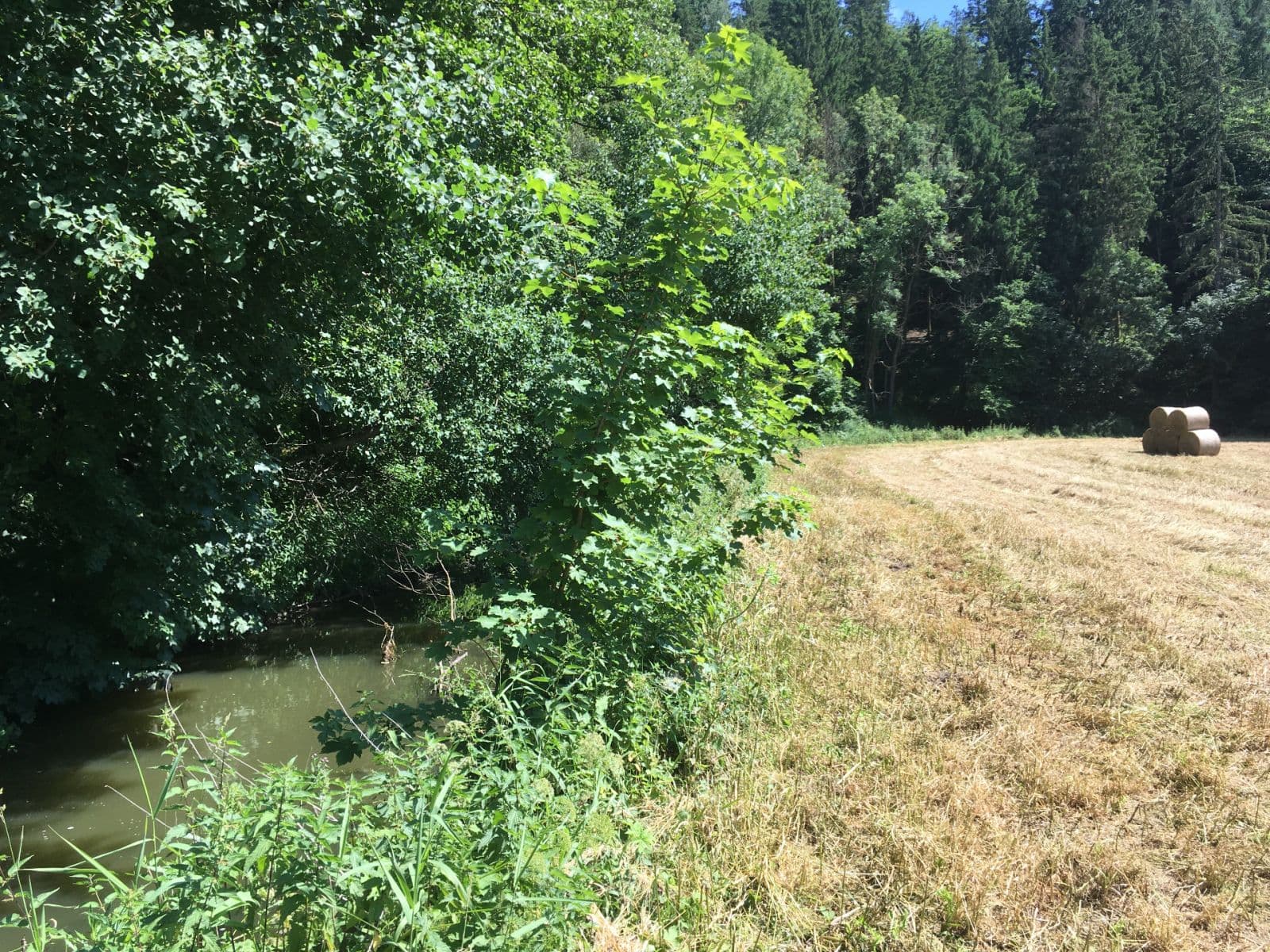 plot for sale, 6,060 m², Hlavní, Družec, Středočeský Region plot for sale, 6,060 m², Hlavní, Družec, Středočeský Region