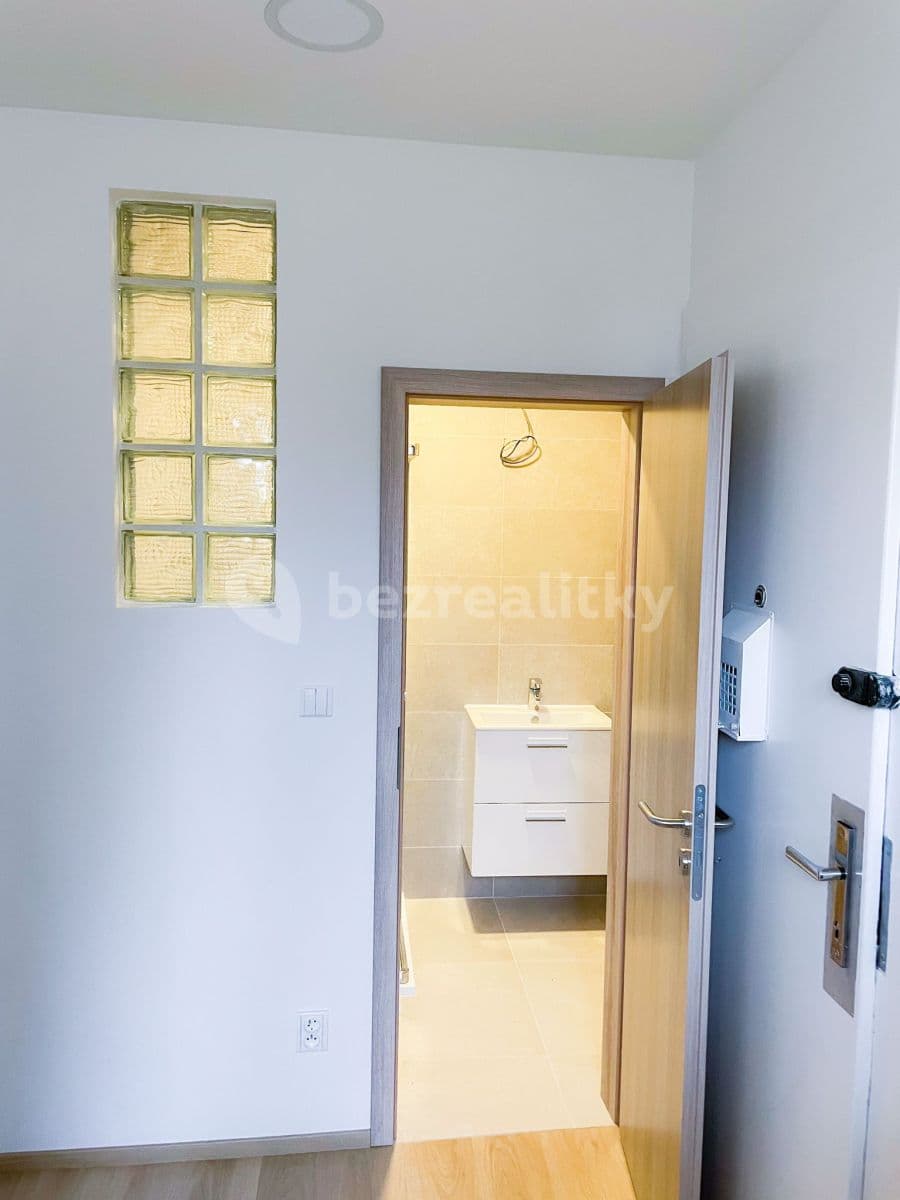1 bedroom with open-plan kitchen flat to rent, 47 m², Dvořákova, Plzeň, Plzeňský Region 1 bedroom with open-plan kitchen flat to rent, 47 m², Dvořákova, Plzeň, Plzeňský Region