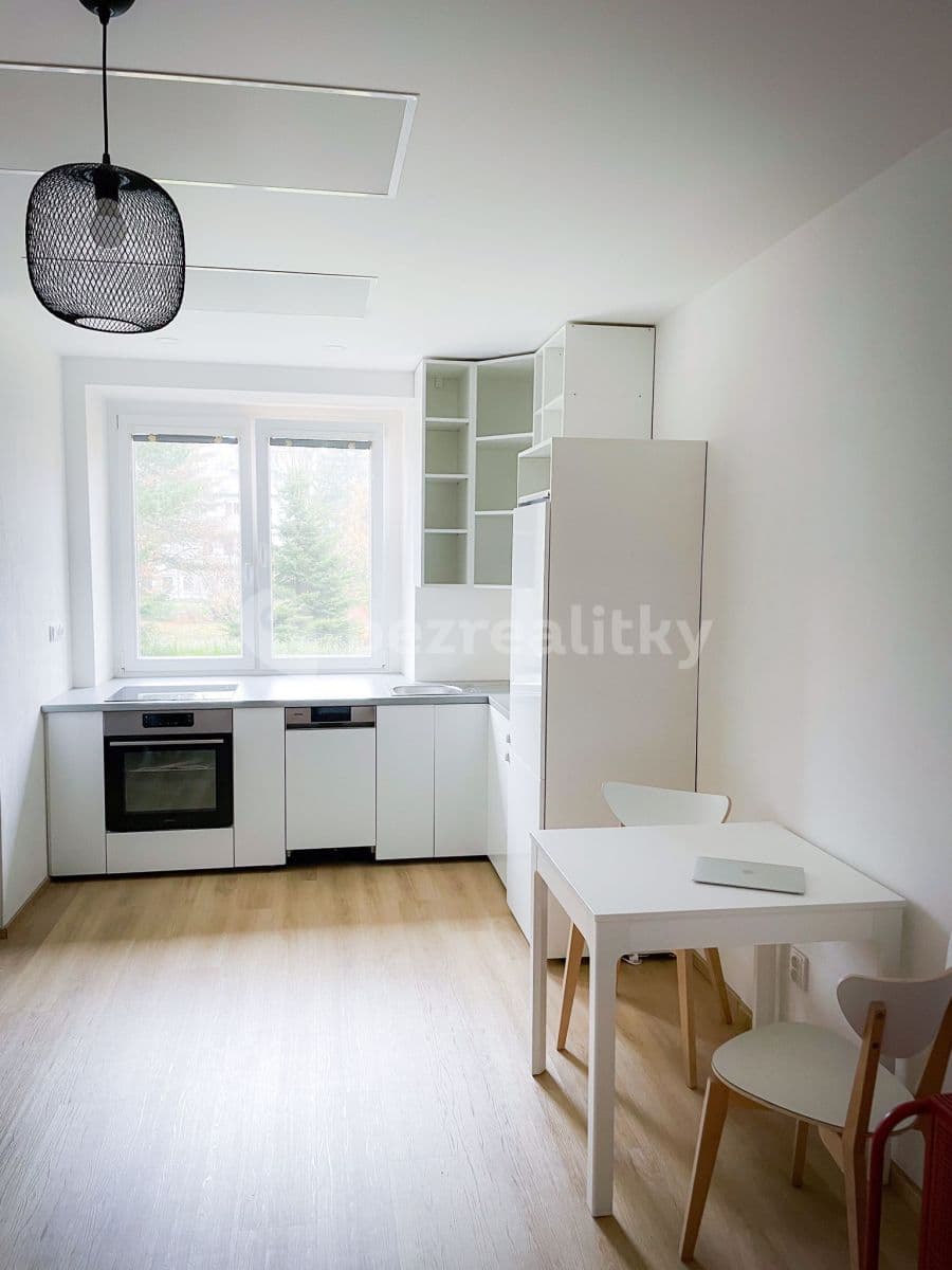 1 bedroom with open-plan kitchen flat to rent, 47 m², Dvořákova, Plzeň, Plzeňský Region 1 bedroom with open-plan kitchen flat to rent, 47 m², Dvořákova, Plzeň, Plzeňský Region