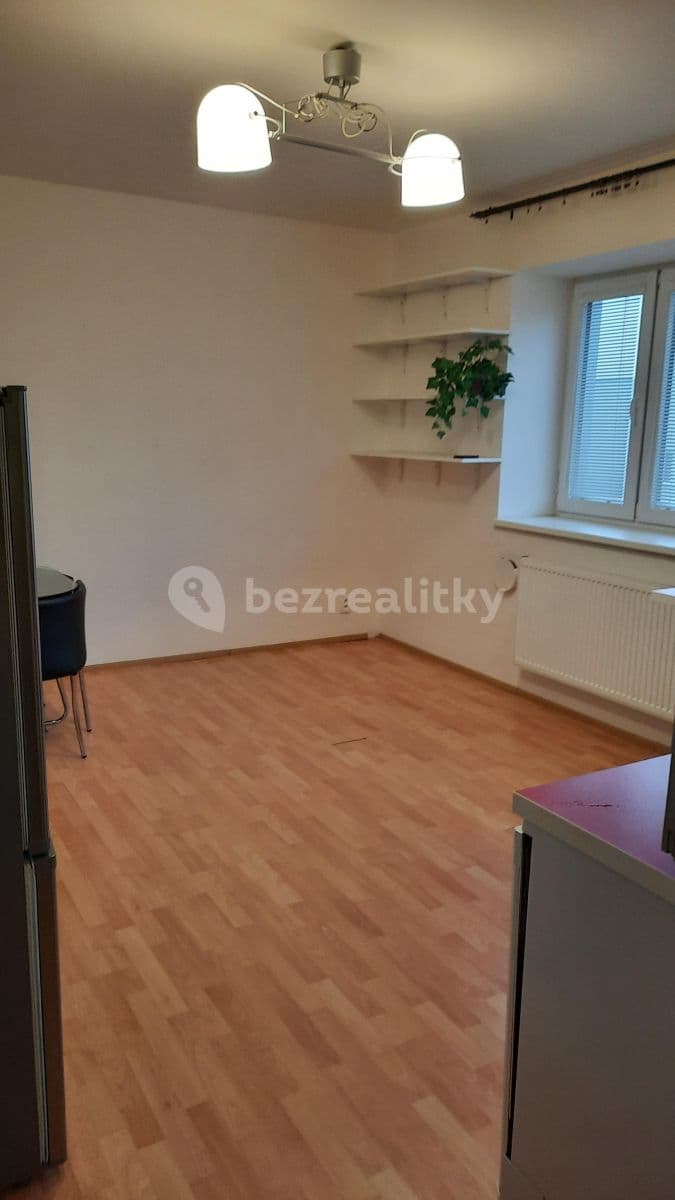 1 bedroom with open-plan kitchen flat to rent, 43 m², Pod Drinopolem, Prague, Prague 1 bedroom with open-plan kitchen flat to rent, 43 m², Pod Drinopolem, Prague, Prague