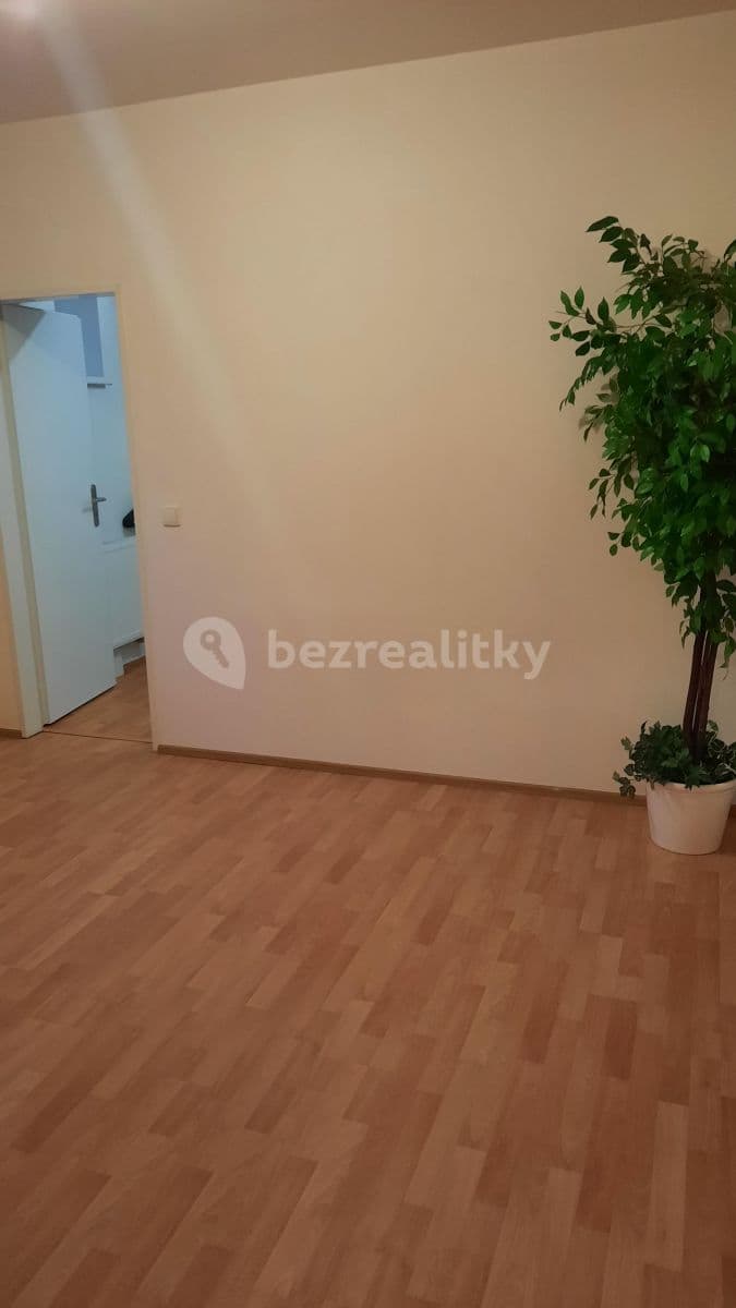 1 bedroom with open-plan kitchen flat to rent, 43 m², Pod Drinopolem, Prague, Prague 1 bedroom with open-plan kitchen flat to rent, 43 m², Pod Drinopolem, Prague, Prague
