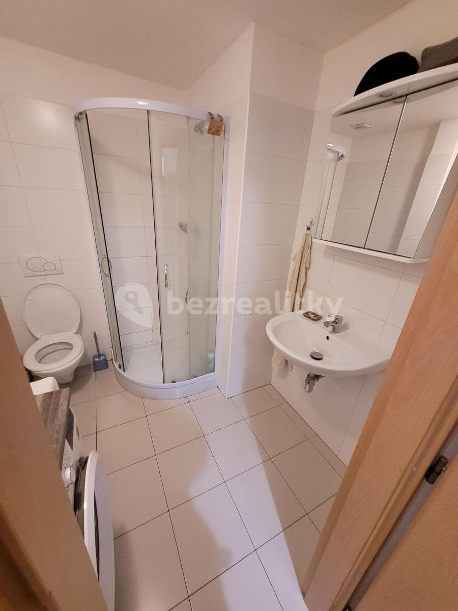 1 bedroom with open-plan kitchen flat to rent, 1 m², Novákových, Prague, Prague 1 bedroom with open-plan kitchen flat to rent, 1 m², Novákových, Prague, Prague