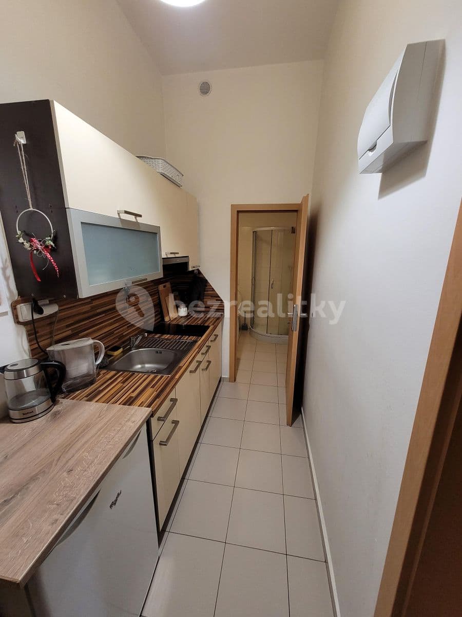 1 bedroom with open-plan kitchen flat to rent, 1 m², Novákových, Prague, Prague 1 bedroom with open-plan kitchen flat to rent, 1 m², Novákových, Prague, Prague