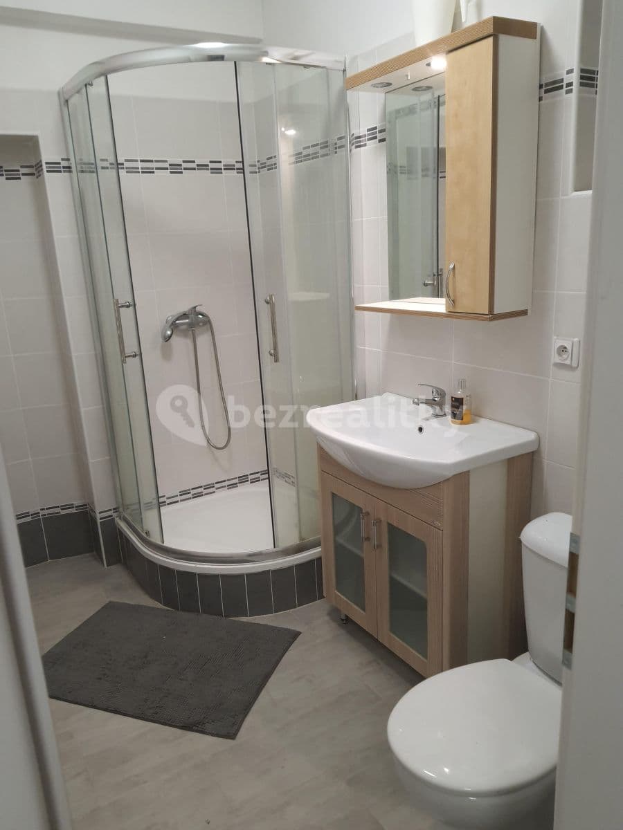 Studio flat to rent, 24 m², 28. pluku, Prague, Prague Studio flat to rent, 24 m², 28. pluku, Prague, Prague