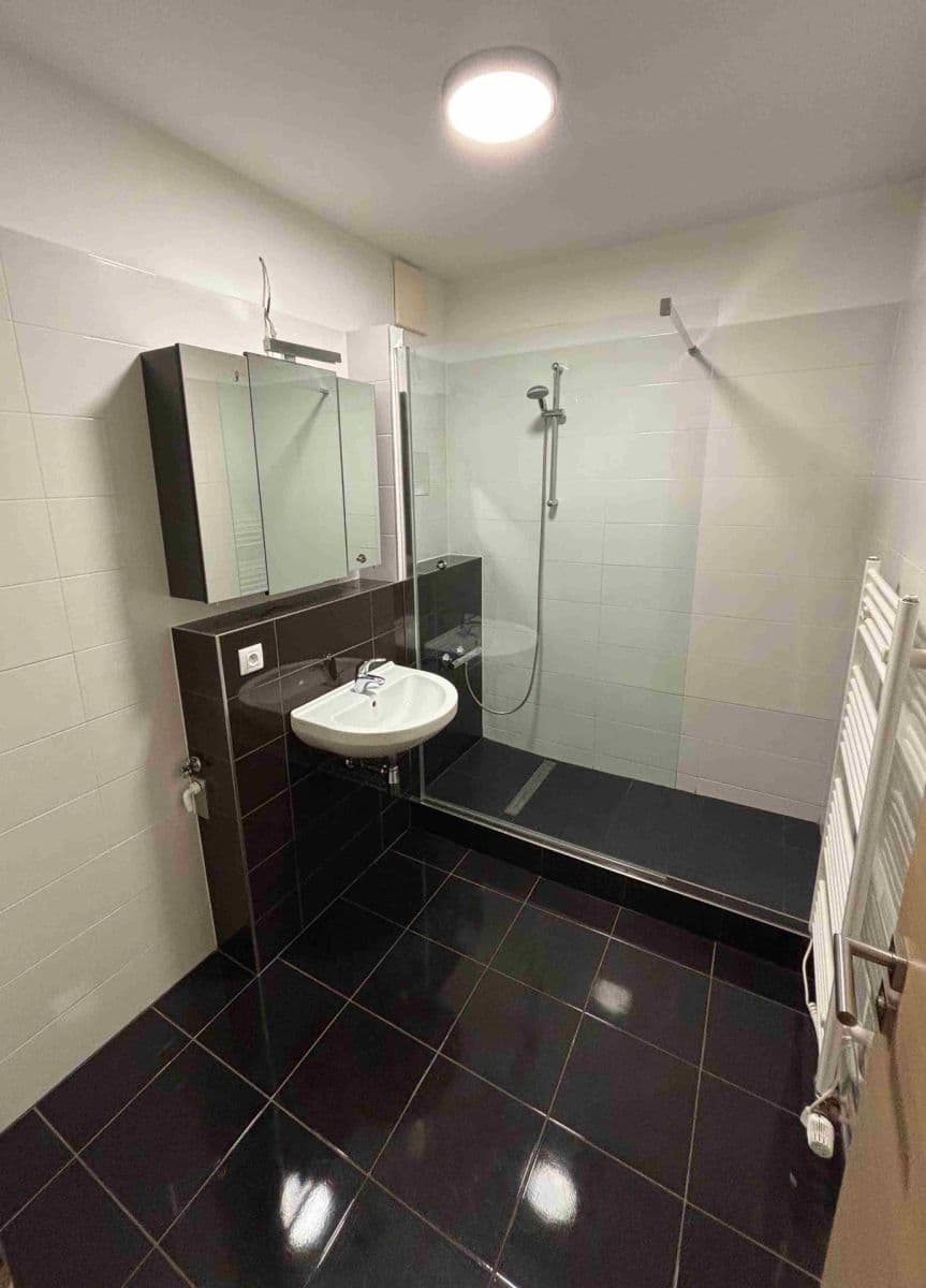 1 bedroom with open-plan kitchen flat to rent, 65 m², Sousedíkova, Prague, Prague 1 bedroom with open-plan kitchen flat to rent, 65 m², Sousedíkova, Prague, Prague