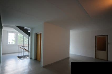 2 bedroom with open-plan kitchen flat to rent, 66 m², Malešovská, Prague, Prague 2 bedroom with open-plan kitchen flat to rent, 66 m², Malešovská, Prague, Prague