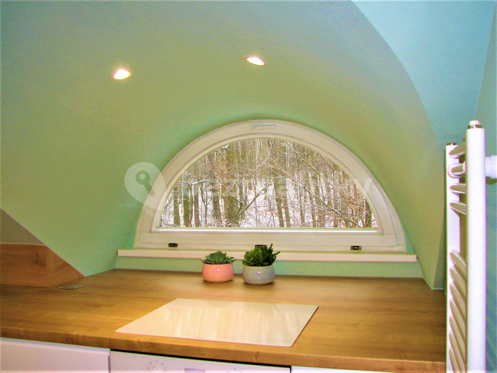 1 bedroom with open-plan kitchen flat to rent, 72 m², Mezitraťová, Prague, Prague 1 bedroom with open-plan kitchen flat to rent, 72 m², Mezitraťová, Prague, Prague