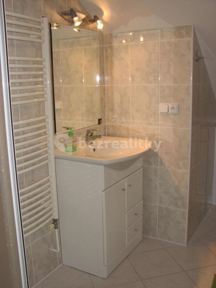 1 bedroom with open-plan kitchen flat to rent, 72 m², Mezitraťová, Prague, Prague 1 bedroom with open-plan kitchen flat to rent, 72 m², Mezitraťová, Prague, Prague