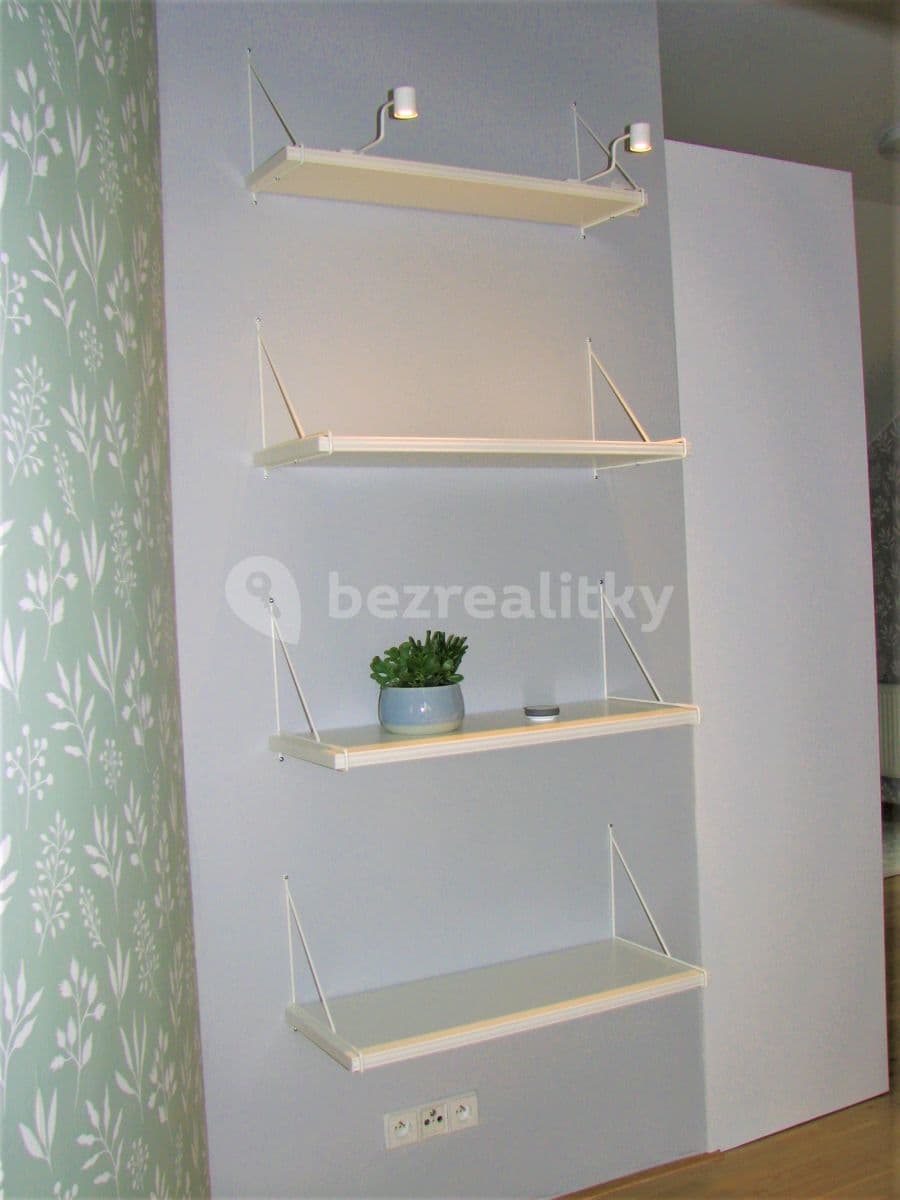 1 bedroom with open-plan kitchen flat to rent, 72 m², Mezitraťová, Prague, Prague 1 bedroom with open-plan kitchen flat to rent, 72 m², Mezitraťová, Prague, Prague