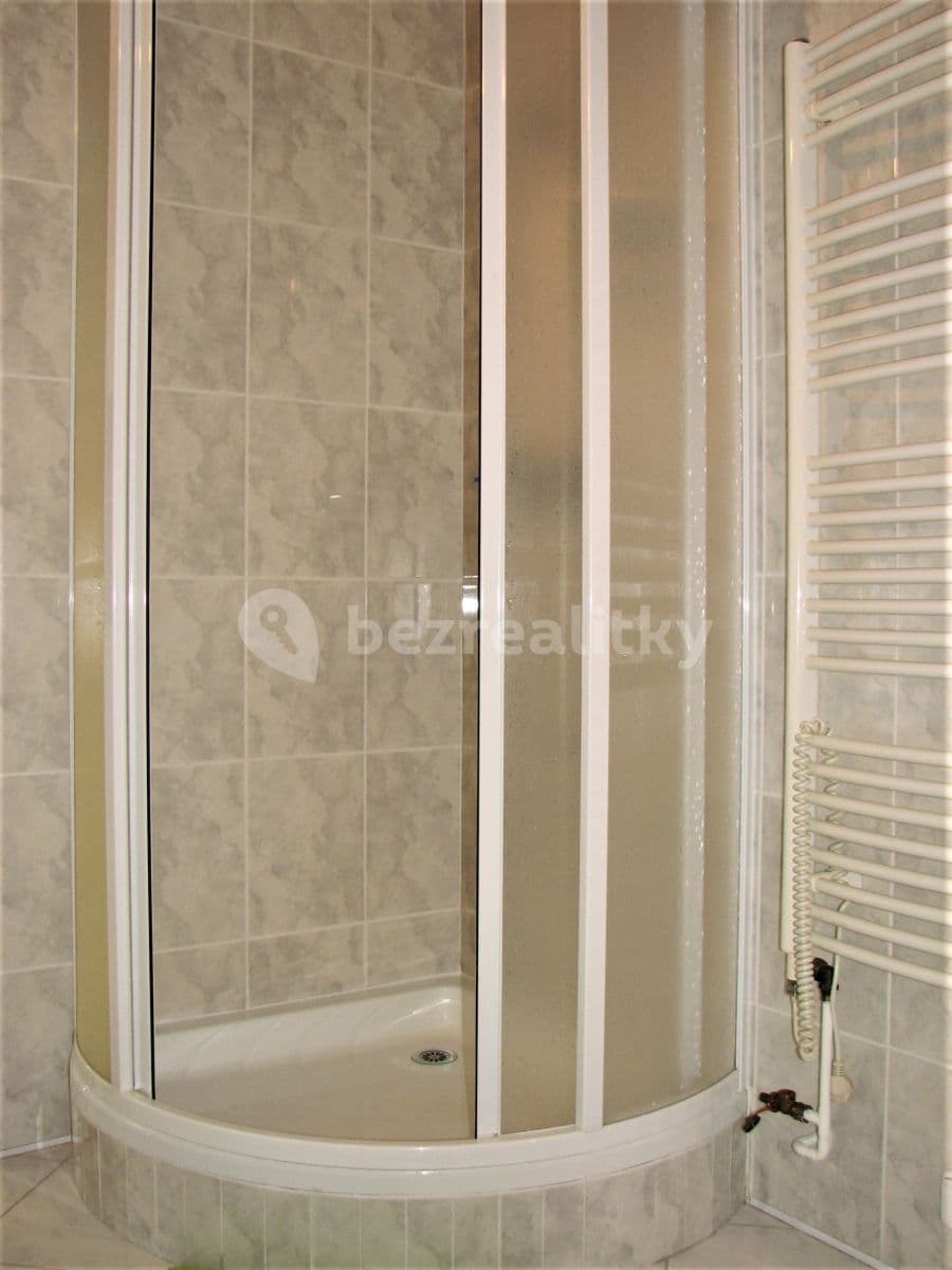 1 bedroom with open-plan kitchen flat to rent, 72 m², Mezitraťová, Prague, Prague 1 bedroom with open-plan kitchen flat to rent, 72 m², Mezitraťová, Prague, Prague