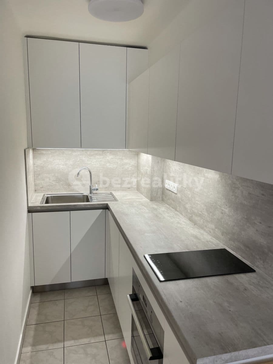 2 bedroom with open-plan kitchen flat to rent, 55 m², Evropská, Prague, Prague 2 bedroom with open-plan kitchen flat to rent, 55 m², Evropská, Prague, Prague