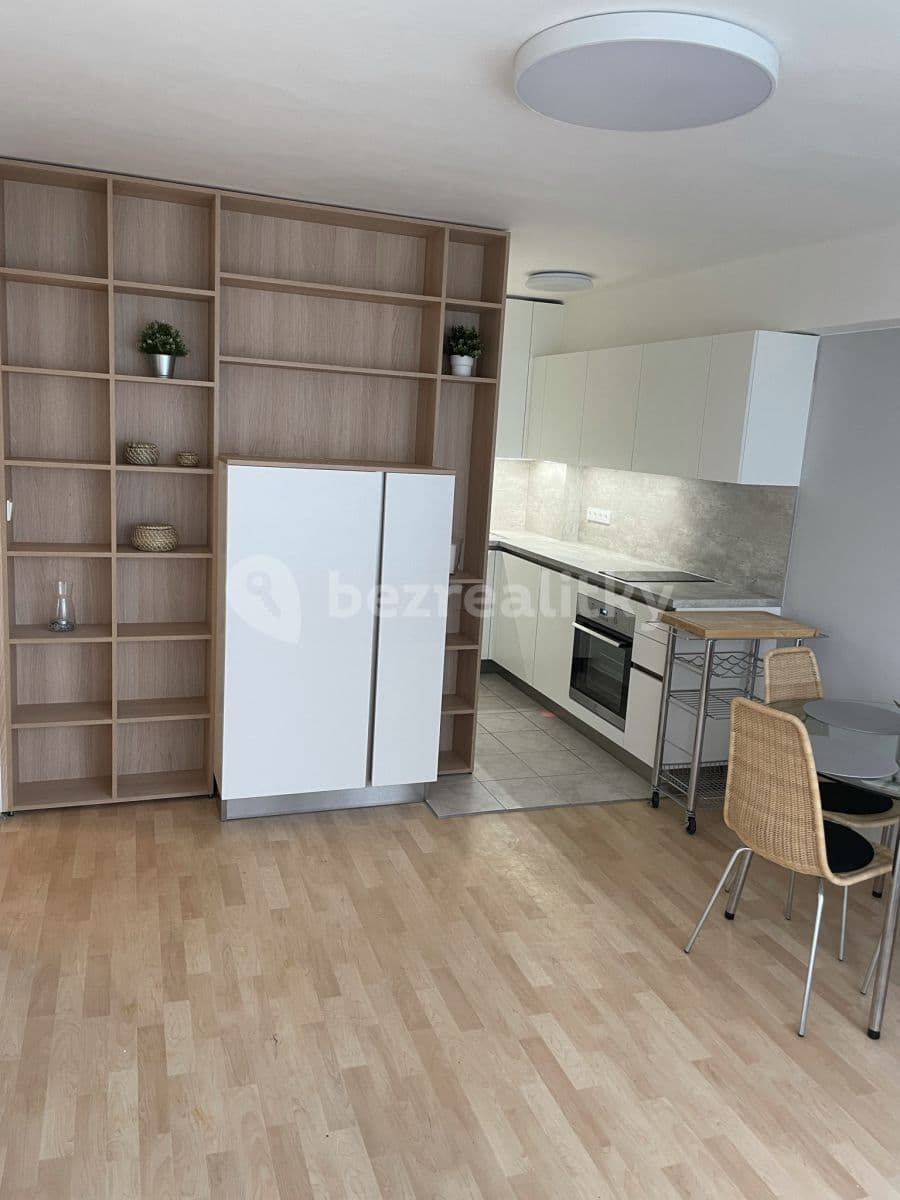 2 bedroom with open-plan kitchen flat to rent, 55 m², Evropská, Prague, Prague 2 bedroom with open-plan kitchen flat to rent, 55 m², Evropská, Prague, Prague
