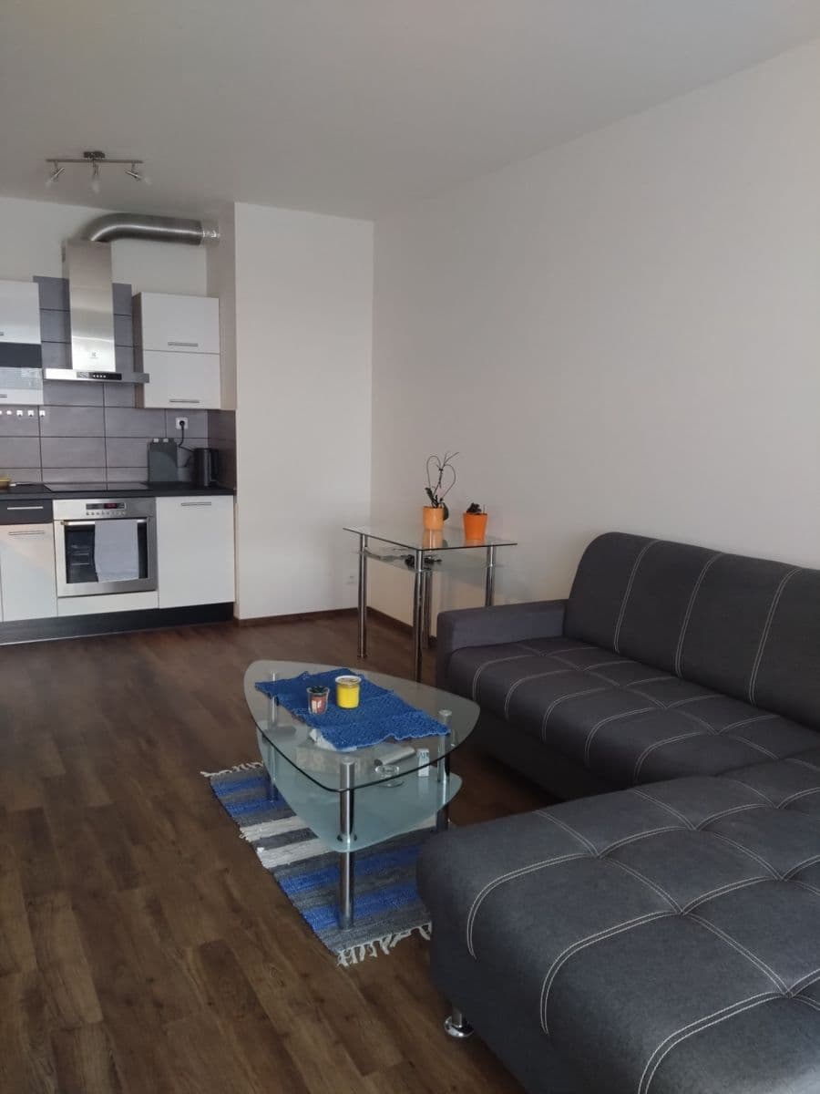 1 bedroom with open-plan kitchen flat to rent, 53 m², U Elektry, Prague, Prague 1 bedroom with open-plan kitchen flat to rent, 53 m², U Elektry, Prague, Prague