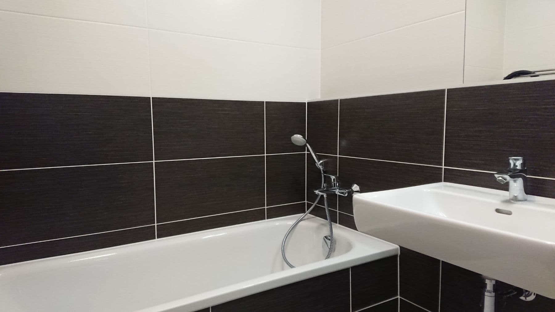 1 bedroom with open-plan kitchen flat to rent, 53 m², U Elektry, Prague, Prague 1 bedroom with open-plan kitchen flat to rent, 53 m², U Elektry, Prague, Prague