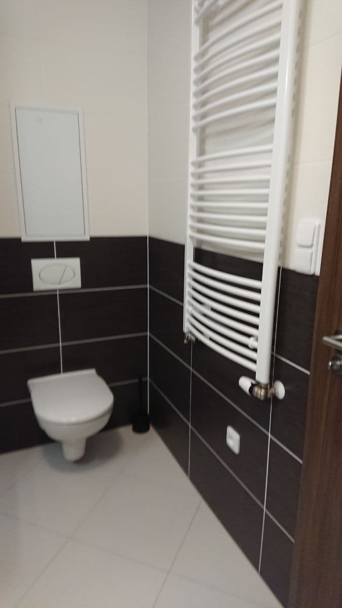 1 bedroom with open-plan kitchen flat to rent, 53 m², U Elektry, Prague, Prague 1 bedroom with open-plan kitchen flat to rent, 53 m², U Elektry, Prague, Prague