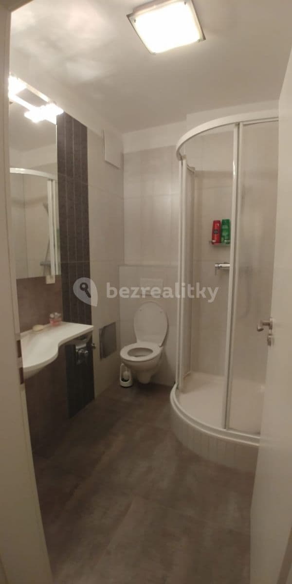 Small studio flat to rent, 44 m², Bazalková, Prague, Prague Small studio flat to rent, 44 m², Bazalková, Prague, Prague
