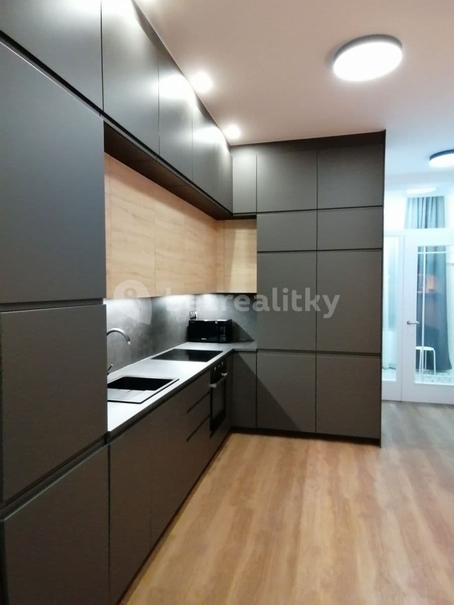 1 bedroom with open-plan kitchen flat to rent, 50 m², Pivovarská, Prague, Prague 1 bedroom with open-plan kitchen flat to rent, 50 m², Pivovarská, Prague, Prague