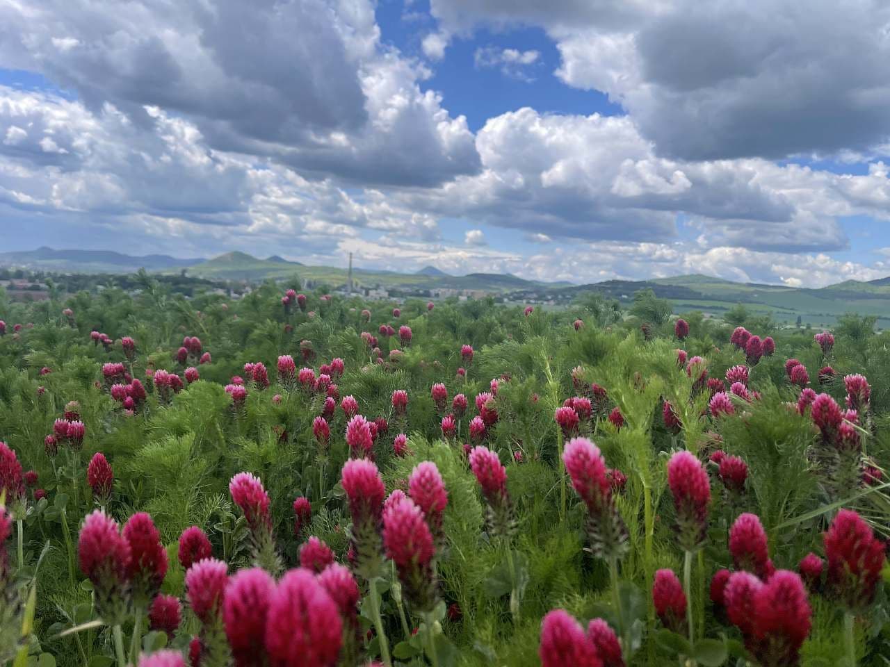 recreational property to rent, 0 m², Litoměřice, Ústecký Region recreational property to rent, 0 m², Litoměřice, Ústecký Region