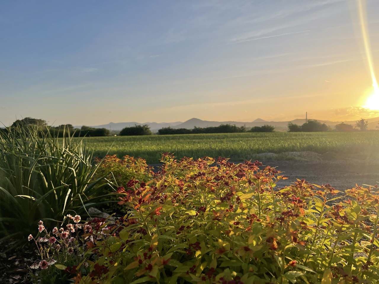 recreational property to rent, 0 m², Litoměřice, Ústecký Region recreational property to rent, 0 m², Litoměřice, Ústecký Region