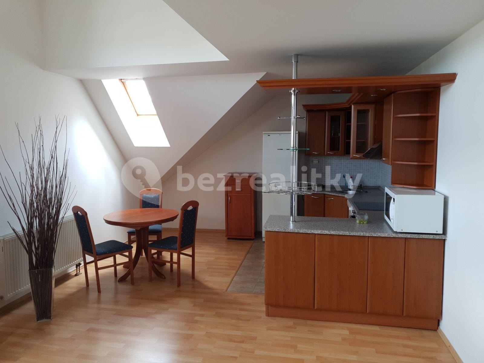 1 bedroom with open-plan kitchen flat to rent, 97 m², Baranova, Prague, Prague