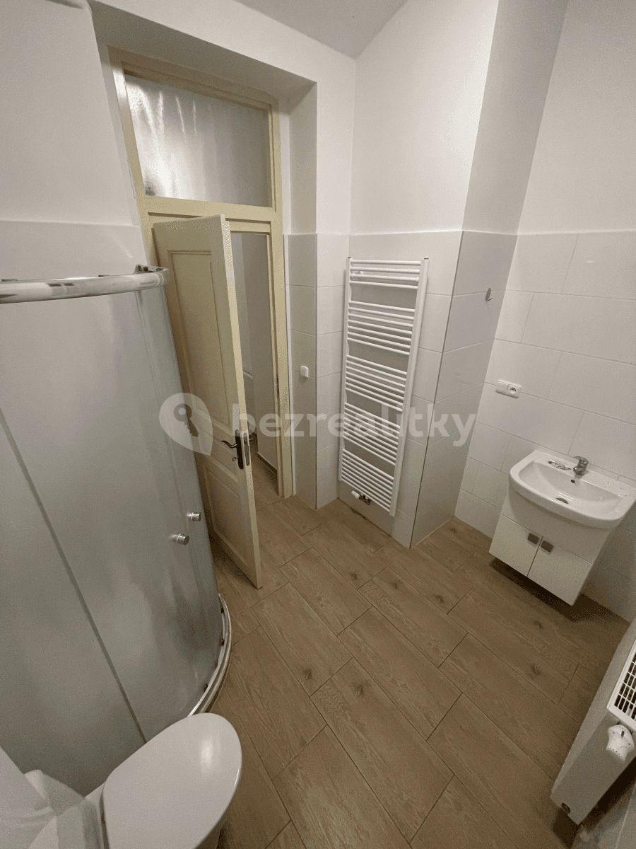 1 bedroom with open-plan kitchen flat to rent, 50 m², Husova, Plzeň, Plzeňský Region 1 bedroom with open-plan kitchen flat to rent, 50 m², Husova, Plzeň, Plzeňský Region