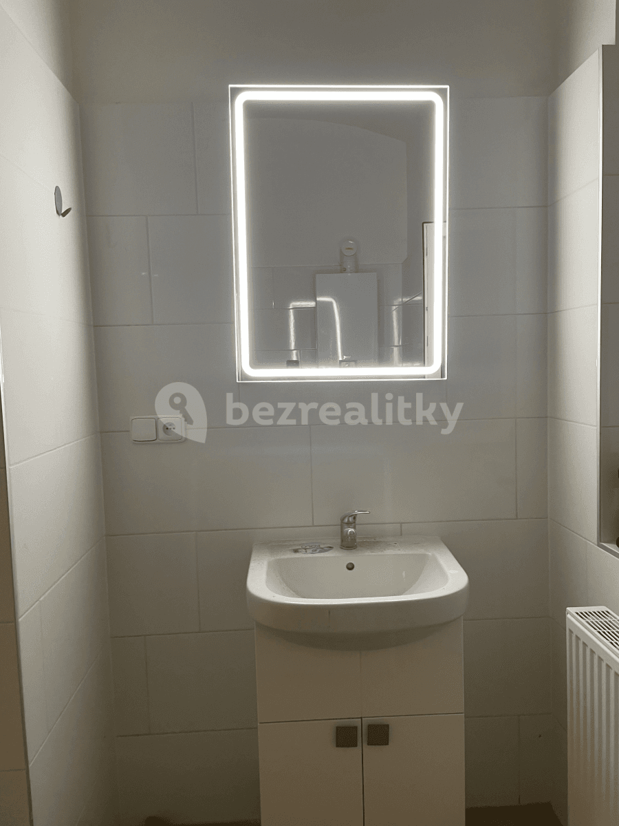 1 bedroom with open-plan kitchen flat to rent, 50 m², Husova, Plzeň, Plzeňský Region 1 bedroom with open-plan kitchen flat to rent, 50 m², Husova, Plzeň, Plzeňský Region